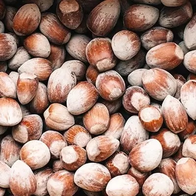 Premium Turkish Nuts & Dried Foods for Global Markets