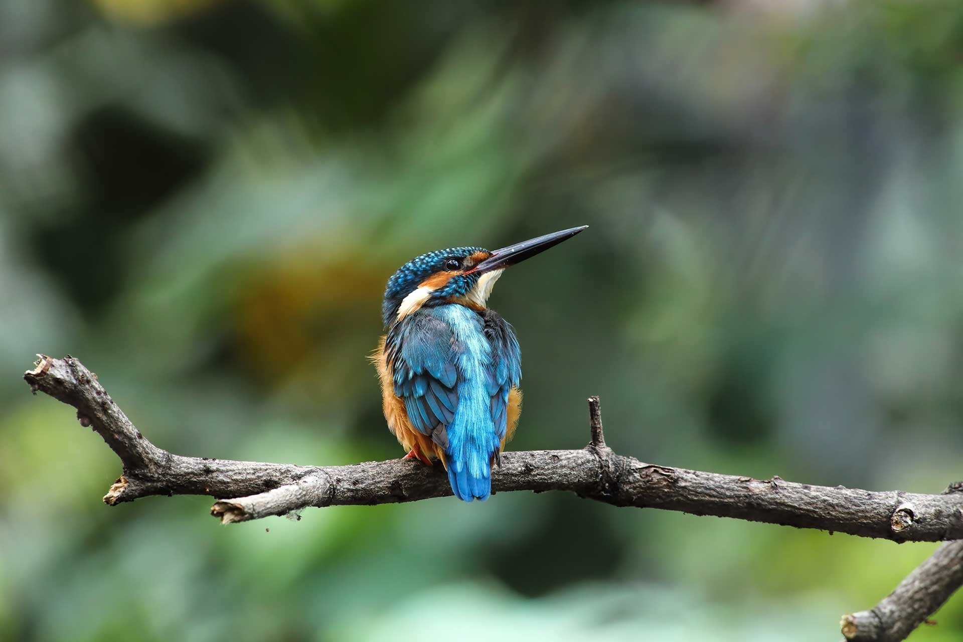 Turkish export products